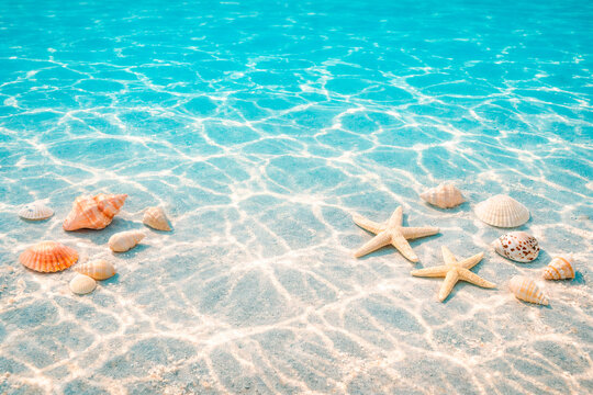 Blue beach background with sand, starfish, shells and conches