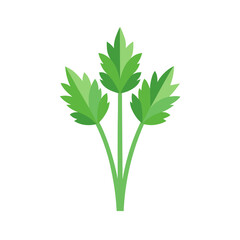 Obraz premium Fresh green parsley sprig icon isolated on transparent background for culinary and food design