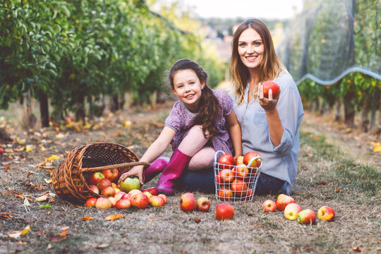 Mother and daughter sitting in an apple orchard with baskets of freshly picked apples, enjoying a calm autumn harvest day outdoors, real life family moment. Woman and little girl