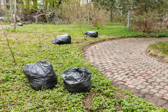 Garbage bags placed along park pathway after outdoor cleanup