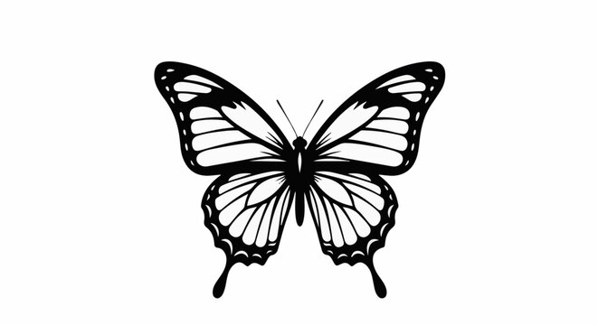 Intricate black and white silhouette of a butterfly with detailed wings