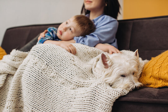 Mother, child, and dog relaxing at home