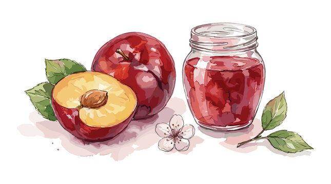 Watercolor plum illustration with fruit slice and jam jar on surface.