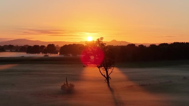Sun setting behind silhouetted lone tree over foggy Waikato plains with lens flare