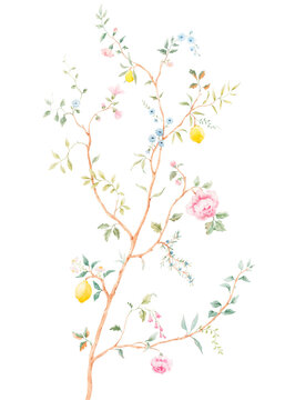 Elegant Floral Branches Lemon Tree Chinoiserie Clipart Botanical Elements