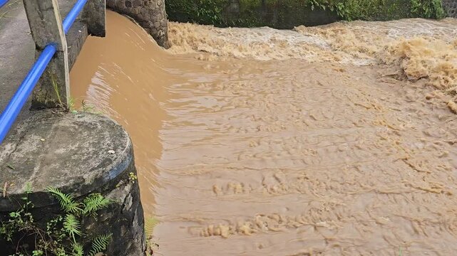 Rapidly flowing muddy river water cascades forcefully over a small concrete weir near a rural bridge with blue railings following heavy monsoon rains.