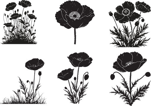 Black Poppy Flower Silhouette in Linocut Style High Resolution