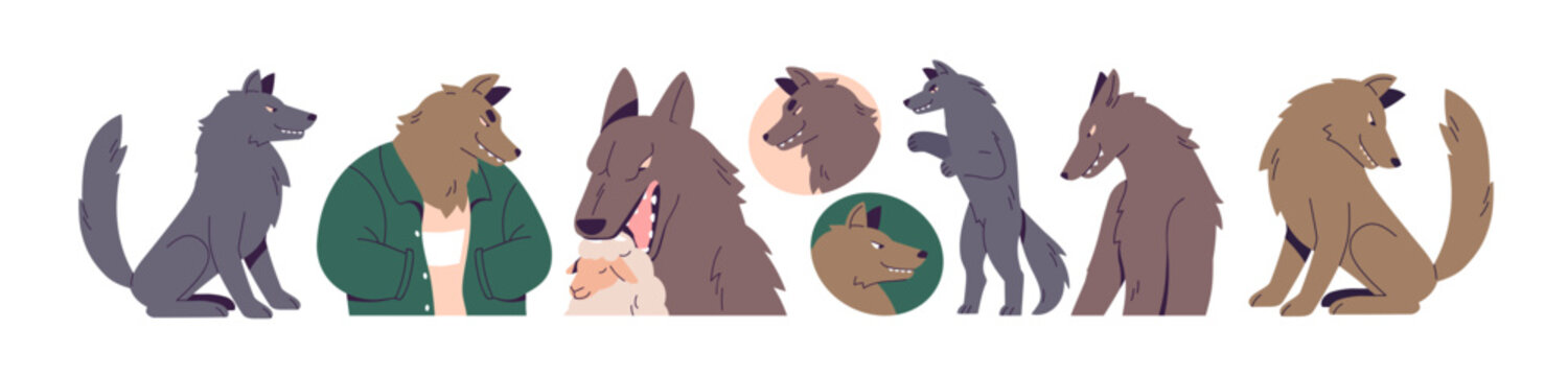 Wolf set. Wild forest animal, anthropomorphic character, with sheep, head avatars, standing and sitting poses. Wolves grinning, evil sly smile. Flat vector illustrations isolated on white background