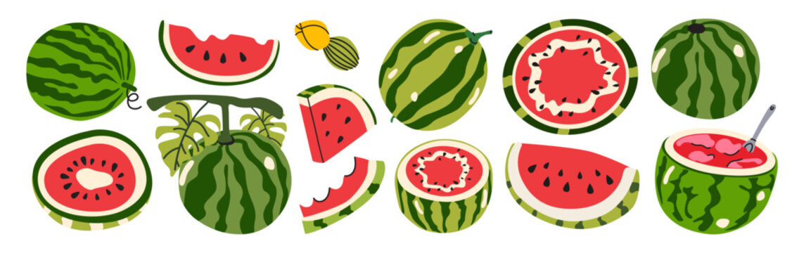 Collection of watermelon slices and whole fruits in various shapes. Cartoon summer juicy fruit elements with seeds and leaves isolated on white background