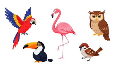 Estores personalizados com sua foto Cute colorful birds vector collection with cartoon animal characters in different poses isolated on white
