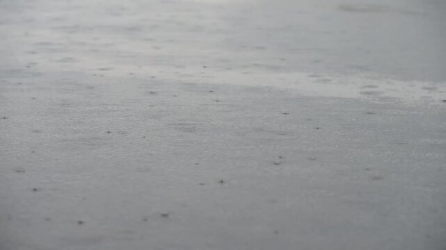 Raindrops fall on water surface creating small circular ripples, rainy day, it often signify sorrow and introspection