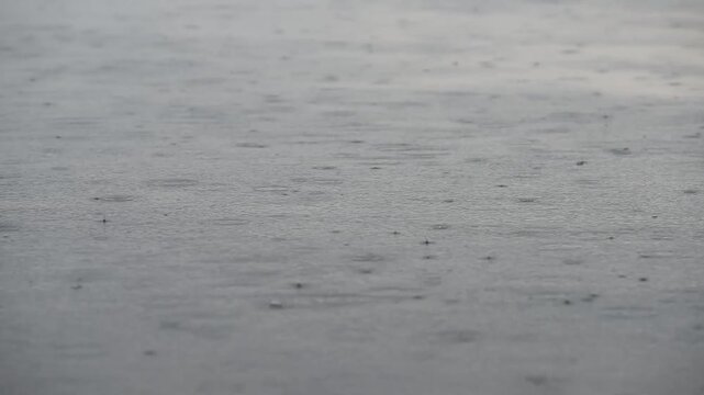 Raindrops fall on water surface creating small circular ripples, rainy day, it often signify sorrow and introspection