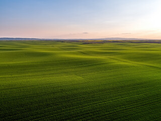 Obraz premium Rolling green fields and agricultural landscape at sunset