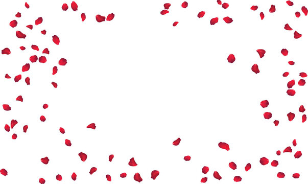 Rectangle Petal Frame for Photo Booth Props and Wedding Invite Decoration