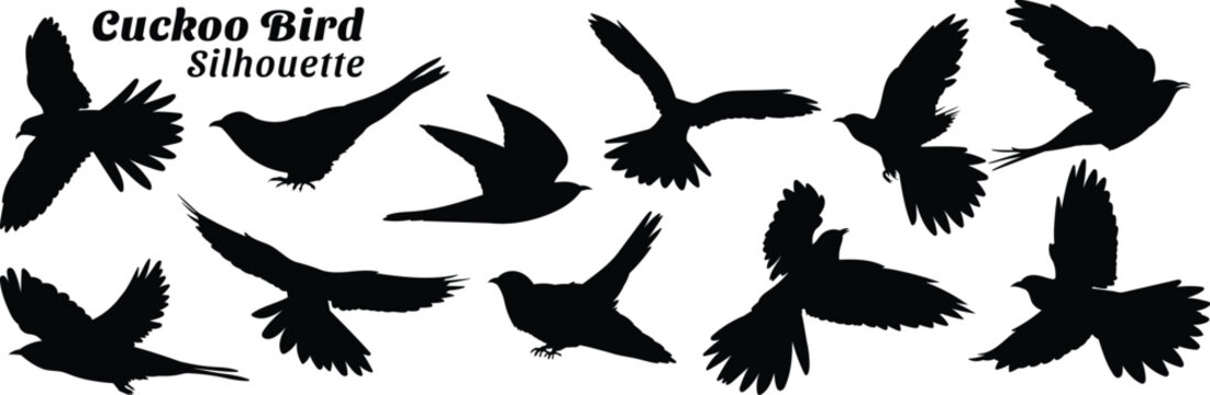 Cuckoo Bird Silhouette Set Isolated on White Background Vector Illustration.