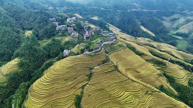 Cinematic Aerial Approach to Longsheng Rice Terraces, Guilin