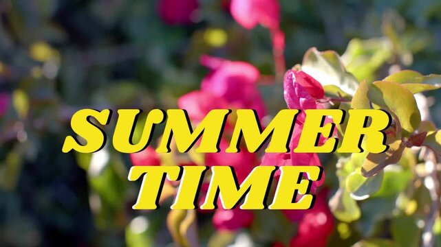 Centered SUMMER TIME remaining fixed while camera pulling focus and sunlight shifting revealing bud