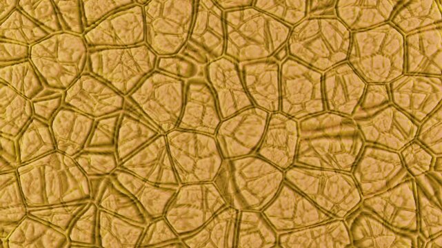 Looped animation. The abstract relief surface smoothly oscillates endlessly, creating the effect of continuous organic movement. The plastic texture vibrates and transforms mesmerizingly, forming a dy