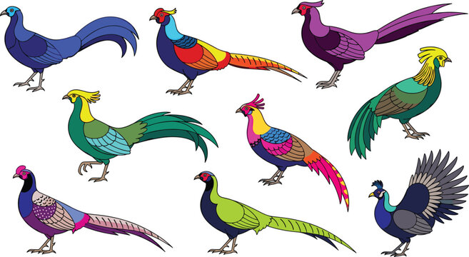 Marine Echinoderm Collection with Spiny Starfish Brittle Stars and Basket Star