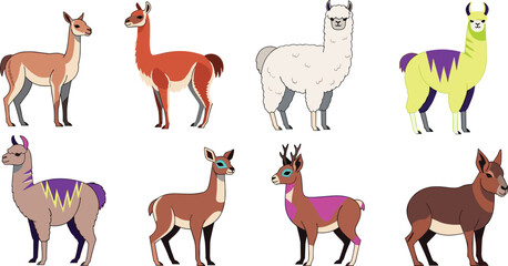 South American Camelid and Deer Collection with Llama Alpaca and Vicuna Species © Firoz