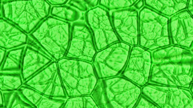 Looped animation. The abstract relief surface smoothly oscillates endlessly, creating the effect of continuous organic movement. The plastic texture vibrates and transforms mesmerizingly, forming a dy