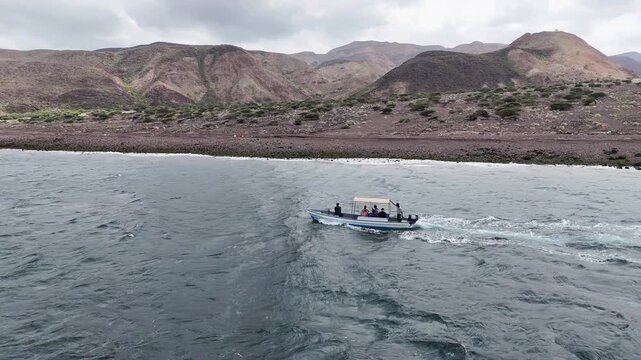 Aerial footage of Red Sea in Djibouti with calm waters and shoreline, tracking drone shot following boat in the water.