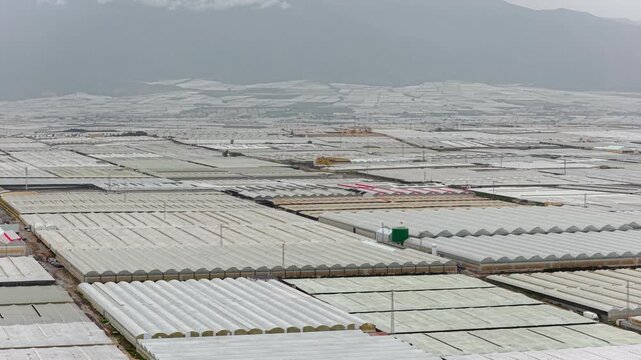Greenhouses (Sea of Plastic) in Almeria / El Ejido (Spain). Aerial view of agriculture under plastic