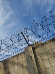 Fototapeta premium 철조망과 하늘 wire entanglements and sky