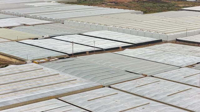 Greenhouses Aerial view in Almeria / El Ejido (Spain). Agriculture under plastic