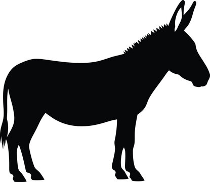Side view silhouette of a standing domestic farm donkey vector illustration