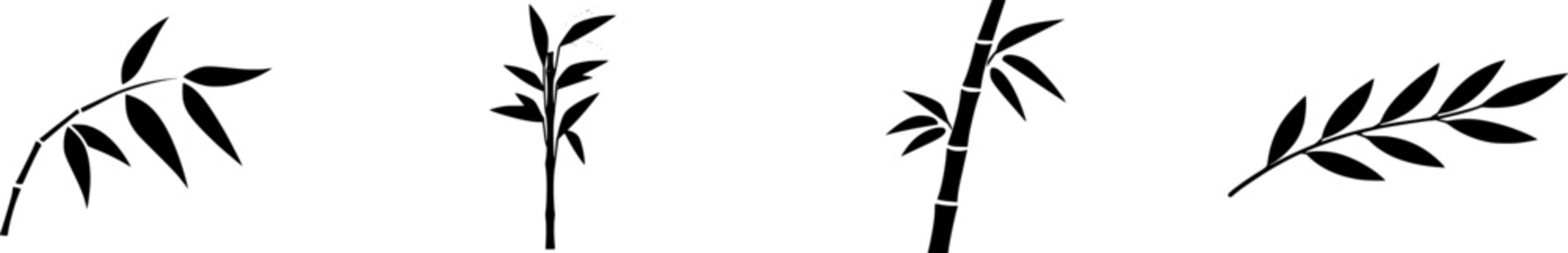 A solitary Black Bamboo stalk with glossy ebony stem and vibrant green leaves is showcased against a pristine white backdrop, exuding an aura of rare elegance and natural beauty