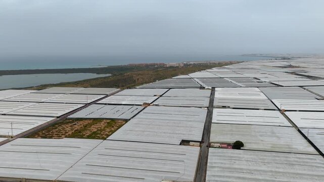 Greenhouses (Sea of Plastic) in Almeria / El Ejido (Spain). Aerial view of agriculture under plastic