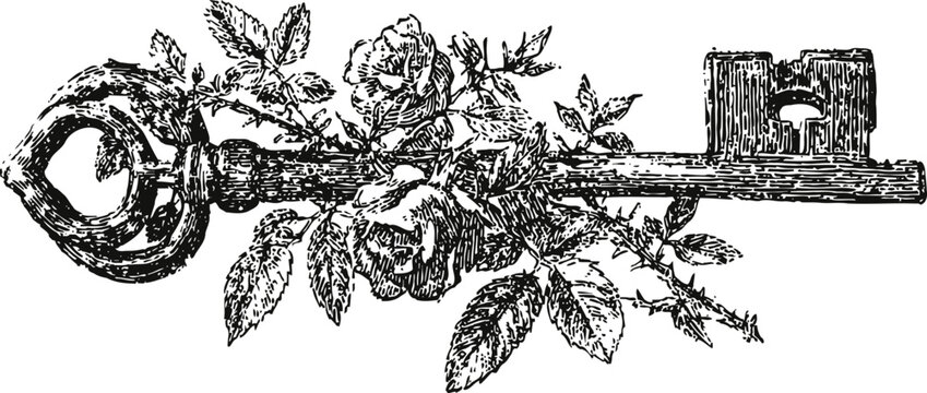 Vintage ornate skeleton key entwined with blooming rose flowers and leaves detailed engraving