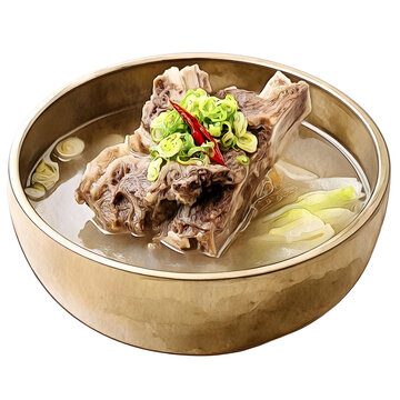 Galbi Tang Korean beef short rib soup Watercolor clipart style food illustration 