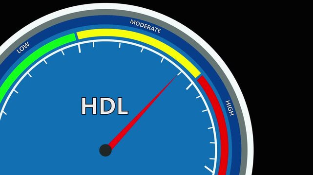 Hdl speed  meter or indicator conceptual animation