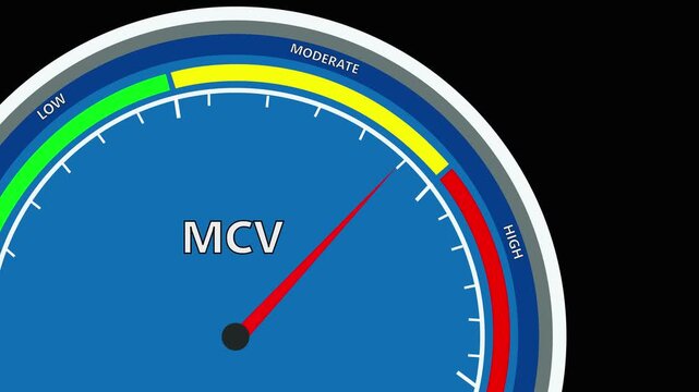 mcv speed  meter or indicator conceptual animation