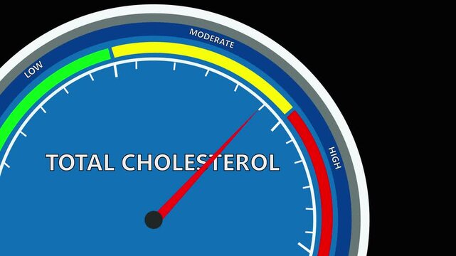Animated total cholesterol level meter moving from high level to normal level,Total Cholesterol Levels Gauge Animation: Normal, Elevated, and High Indicator.