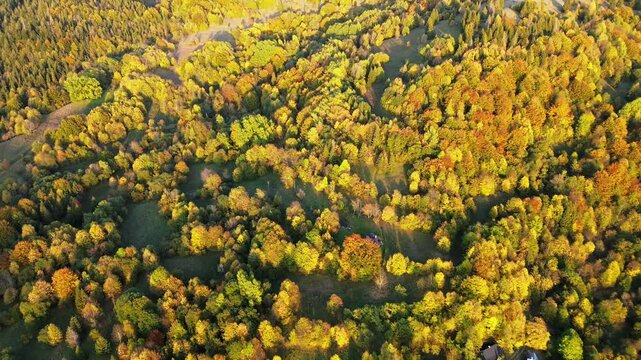 Stunning drone shot of autumn woodland hills at sunset
