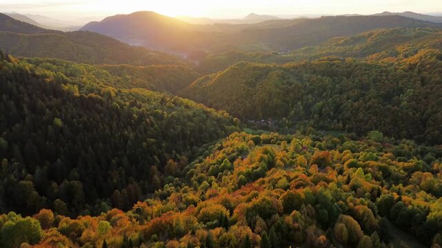 Aerial pull back over autumn forest and hills at sunset