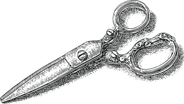 Vintage scissors engraving detailed antique tailor shears isolated on white background classic metal cutting tool illustration