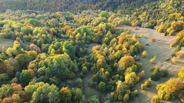 Beautiful autumn landscape with golden trees and meadows