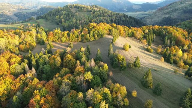 High angle view of mountain ridges covered in autumn forest