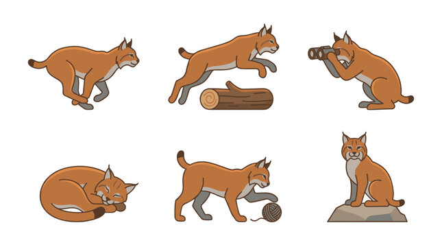 Cute cartoon flat bobcat vector set doing various activities including running, jumping, using binoculars, sleeping, playing with yarn, and sitting on a rock for kids animal design.