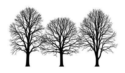 Obraz premium Bare trees silhouette vector illustration isolated on white background
