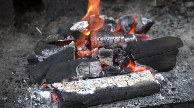 Burning logs and glowing embers creating warm, dramatic fire scene, fire texture concept