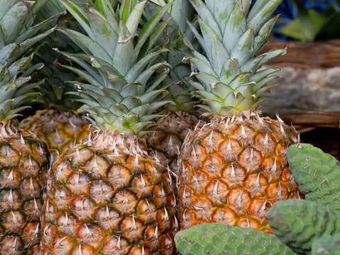 Fresh pineapples at market stall showing ripe tropical fruit with green leaves and textured skin close up