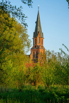 spring trees in front of the church St. Petri in Butjadingen-Burhave