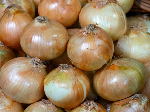 Fresh onions at market stall showing golden brown bulbs with dry skin in close up vegetable display