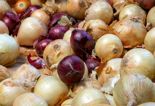 Fresh onions at market stall showing golden brown bulbs with dry skin in close up vegetable display