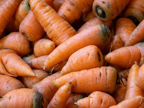 Fresh carrots in close up showing natural texture and earthy surface in market vegetable display